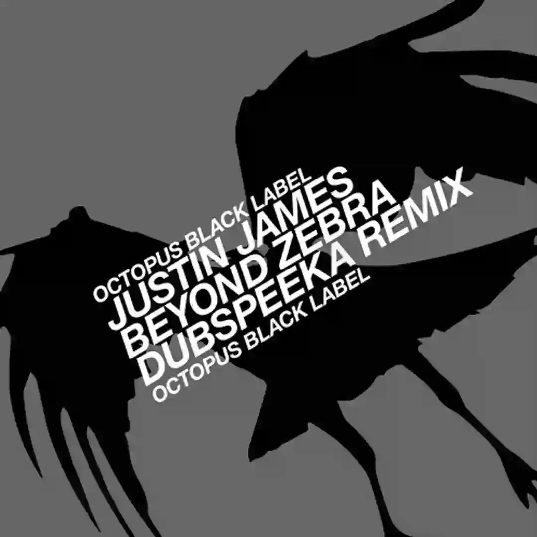 Beyond Zebra (Original Mix) cover