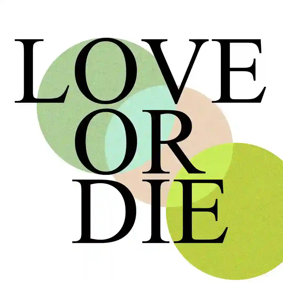 Love Or Die cover