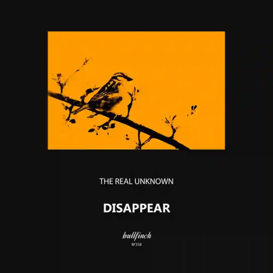 Disappear cover