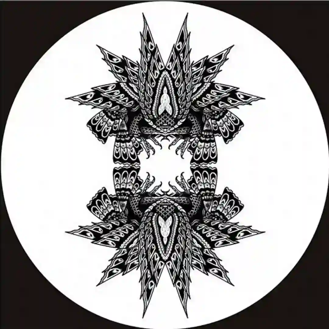 Particle I cover