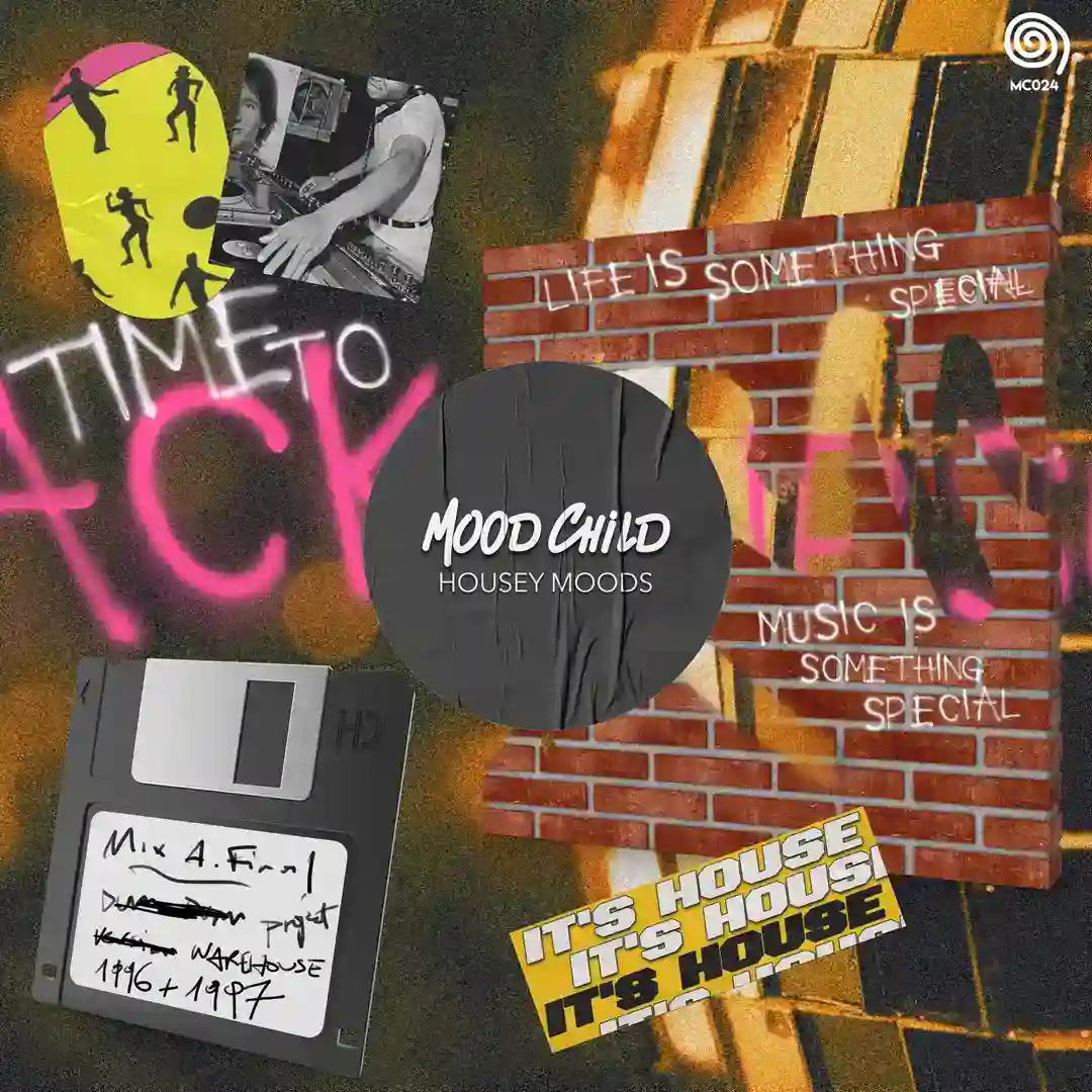In The House (Original Mix) cover