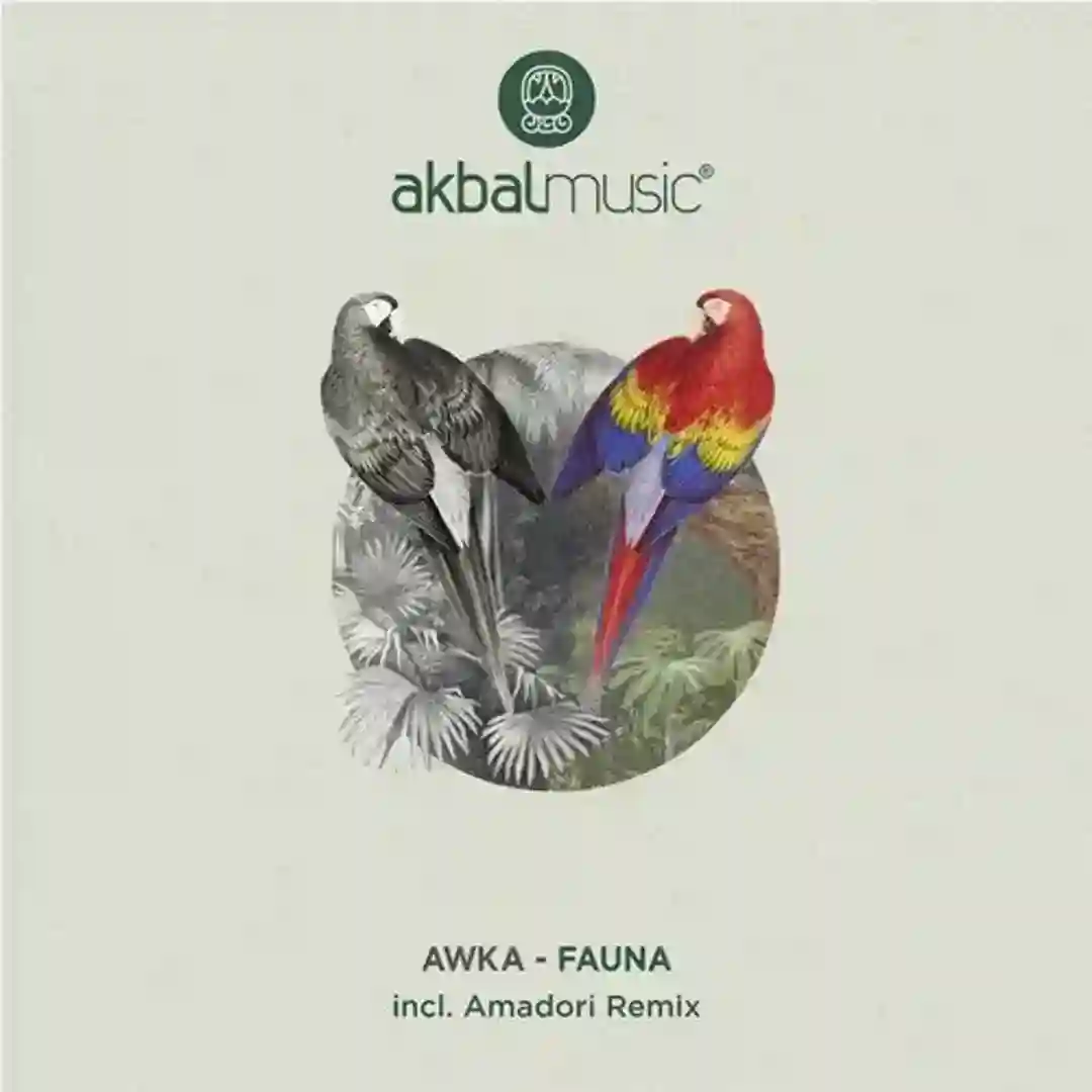 Fauna (Original Mix) cover