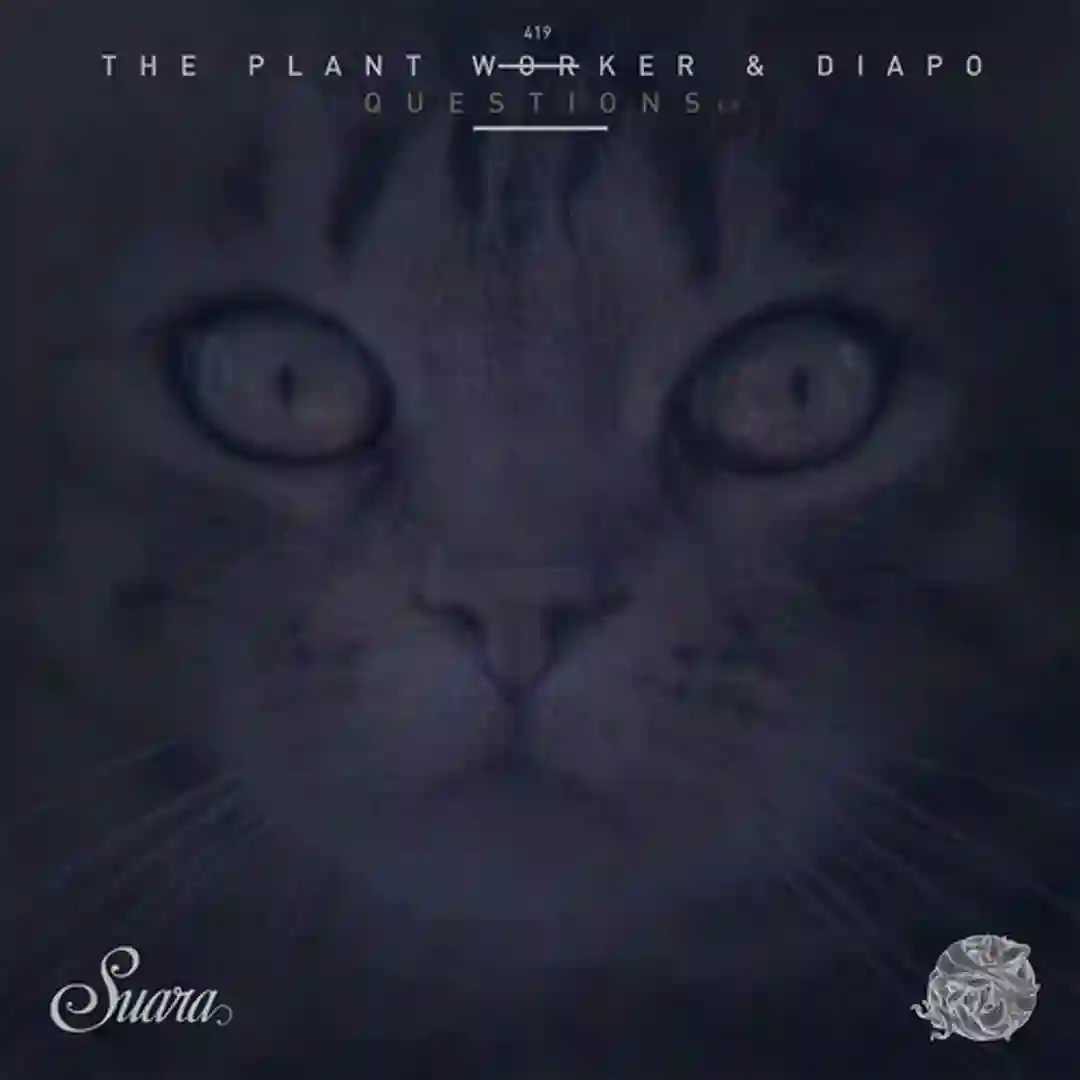 Radiola (Original Mix) cover