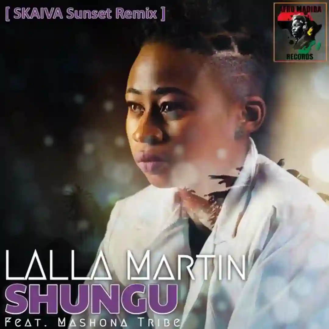 Shungu (Skaiva Sunset Remix) cover