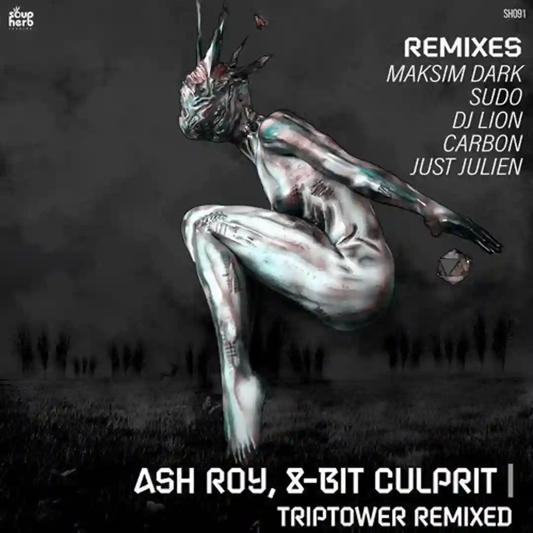 Triptower (SUDO Remix) cover