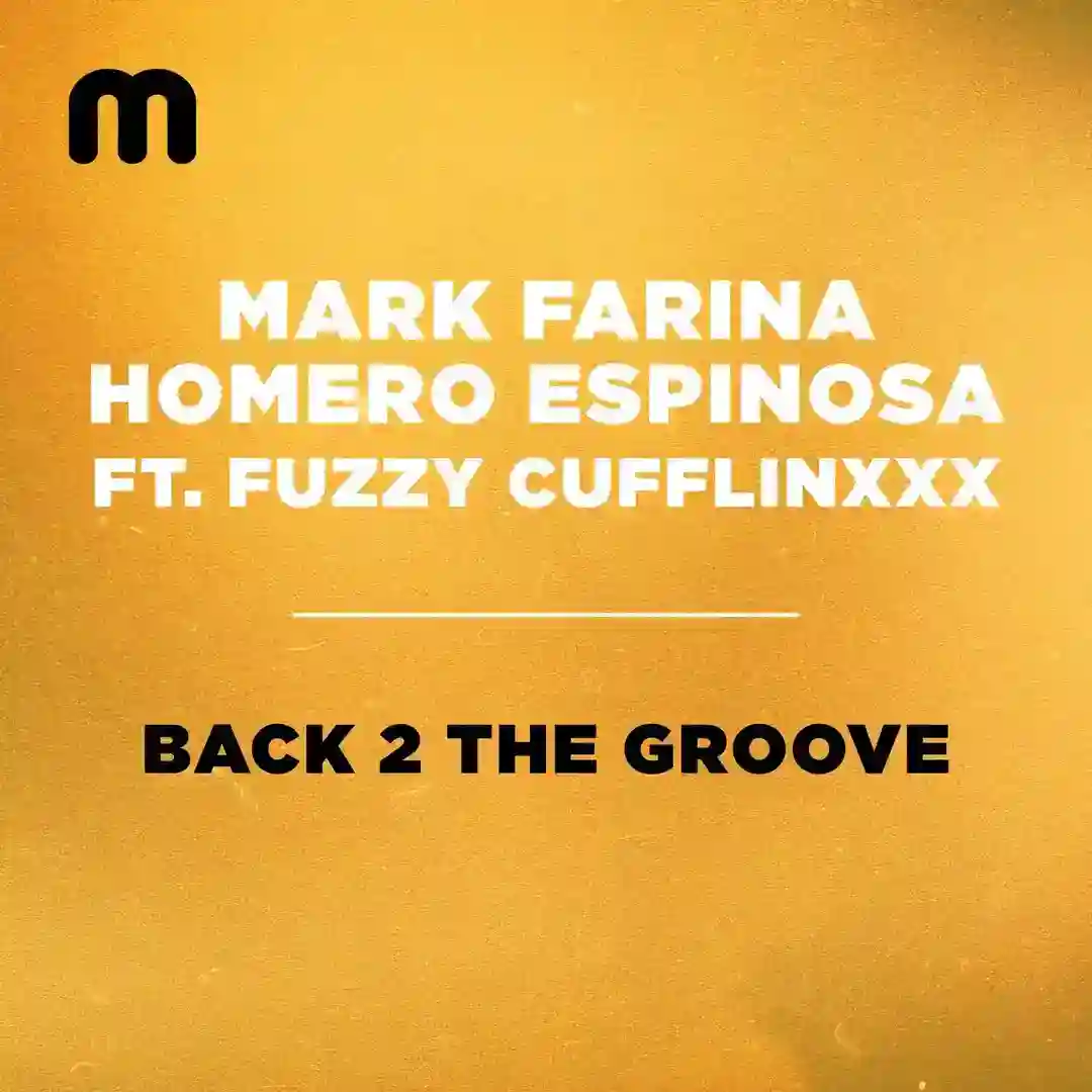 Back 2 The Groove cover