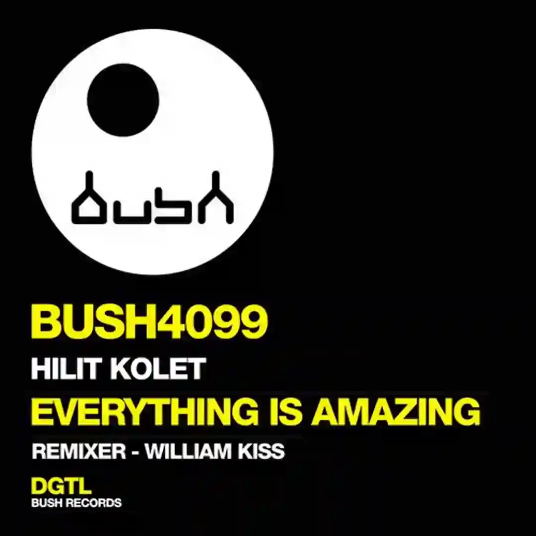 Everything Is Amazing cover