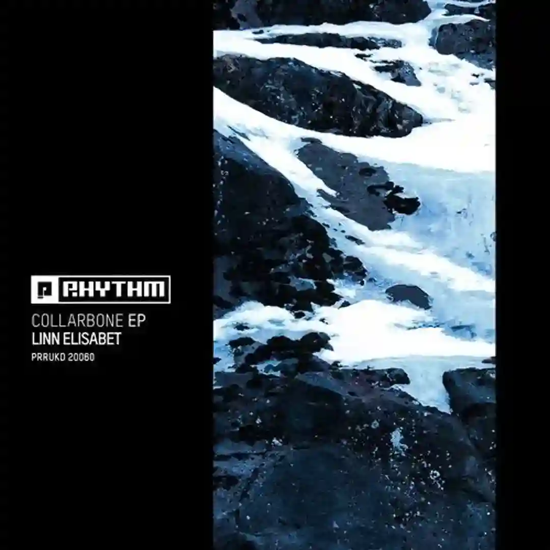 Ternary & Beyond cover