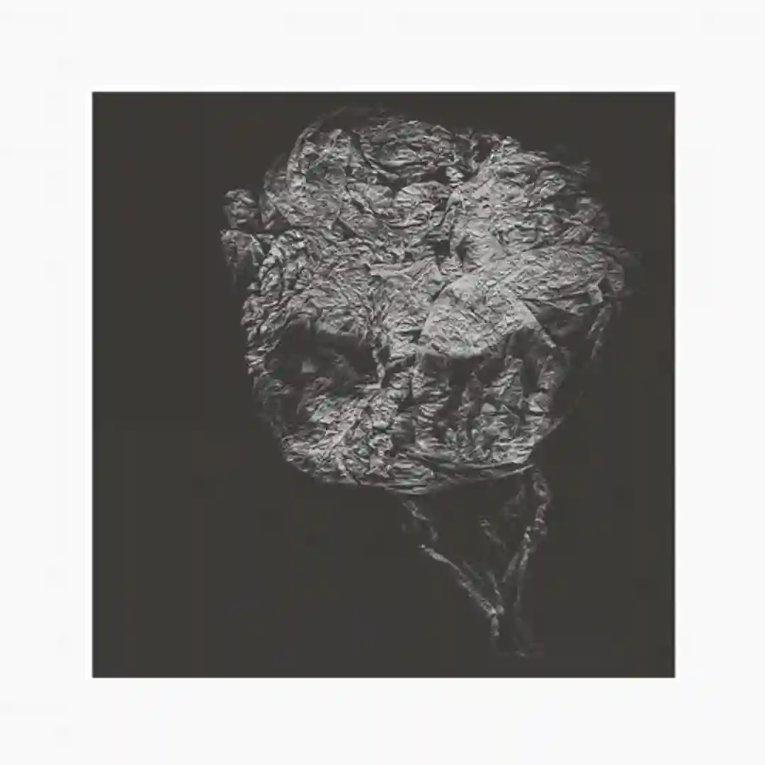 Ancestral Beings, Sightless by Their Own Dust (Original Mix) cover