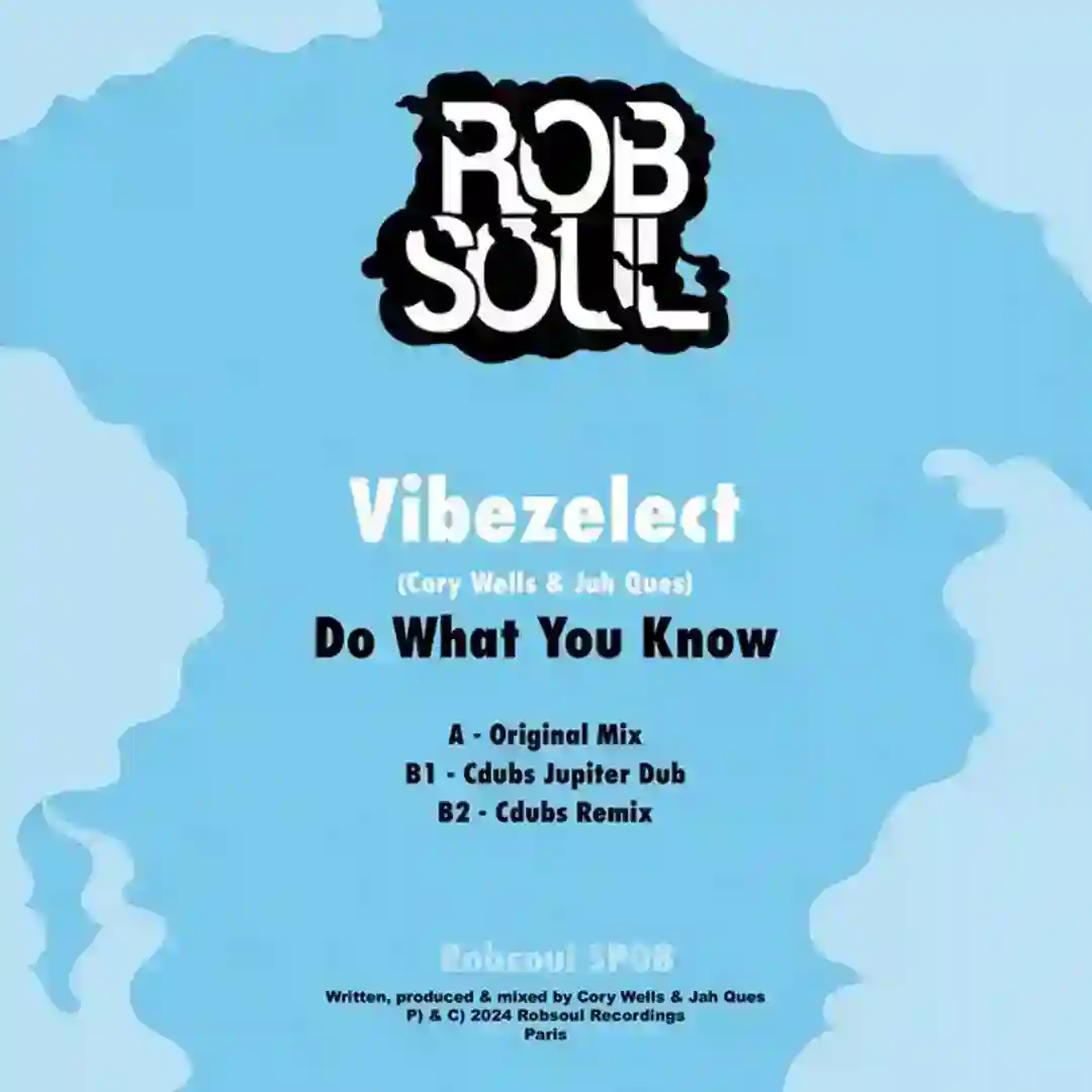 Do What You Know (Cdubs Remix) cover