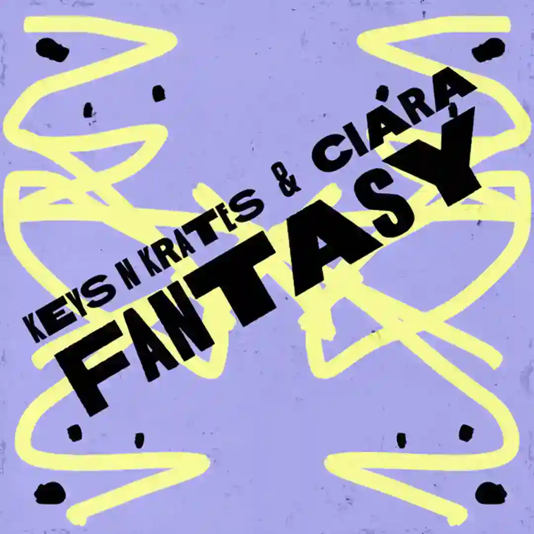 Fantasy cover