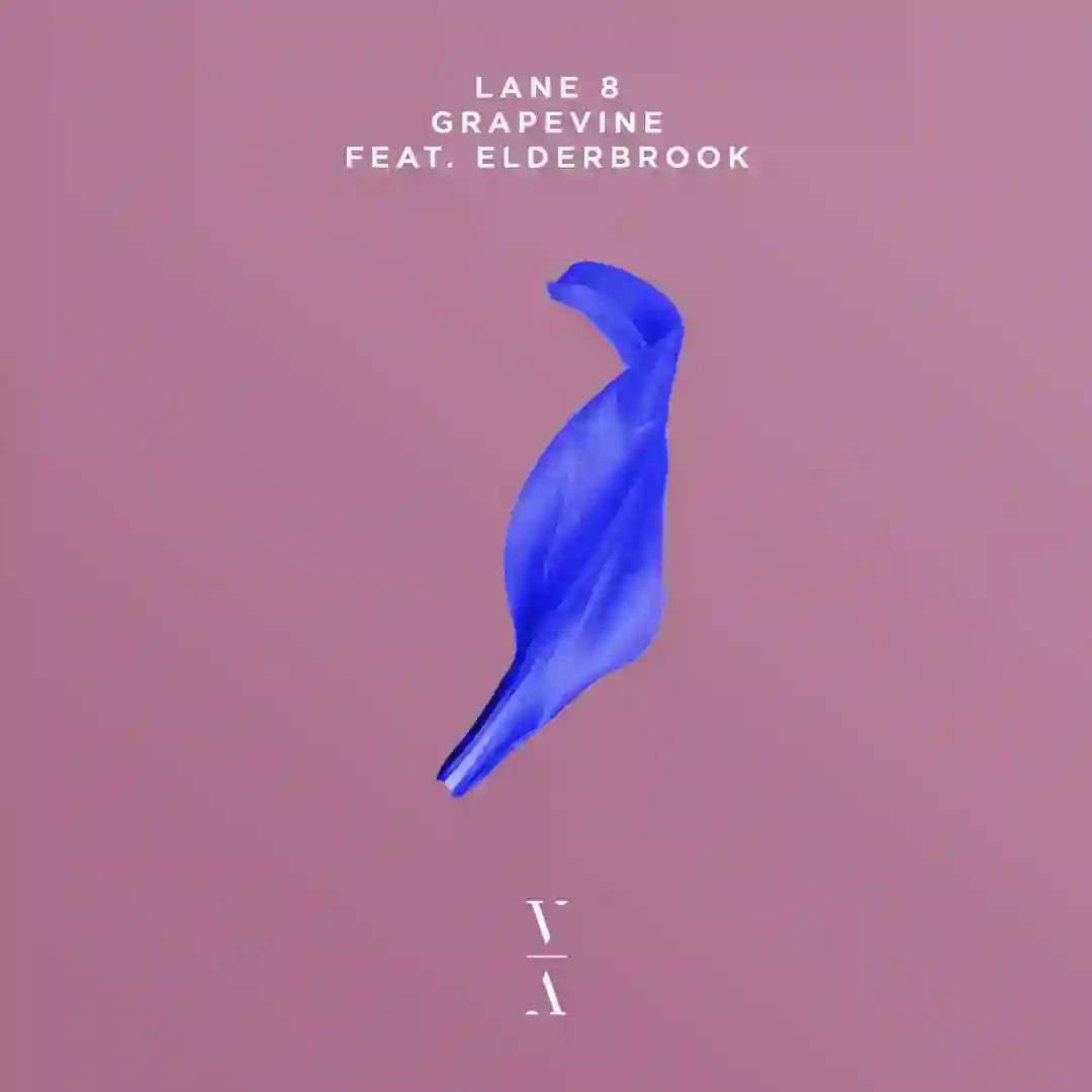 Grapevine cover