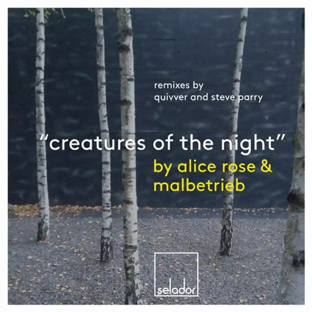 Creatures Of The Night (Steve Parry Remix) cover