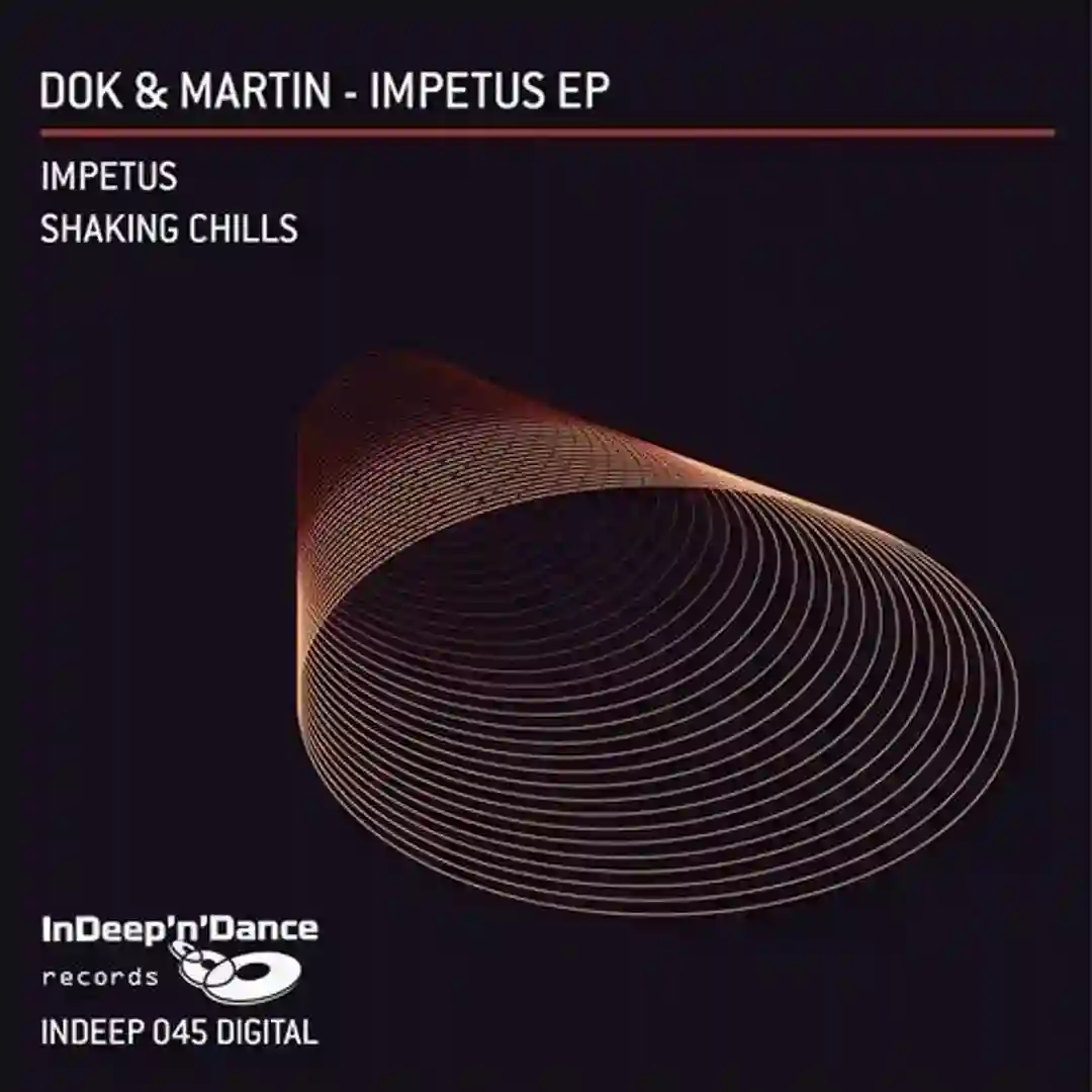 Shaking Chills (Original Mix) cover