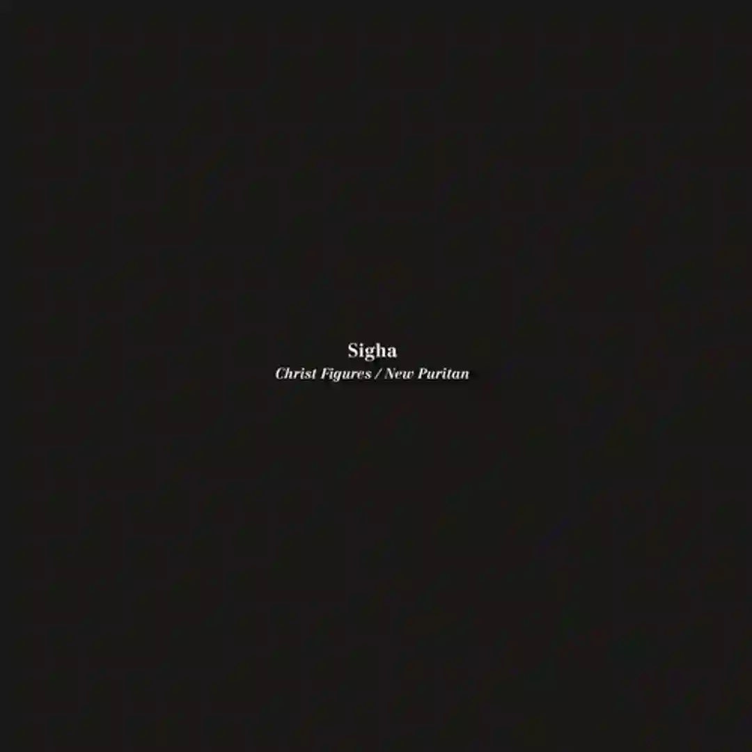 New Puritan (Original Mix) cover