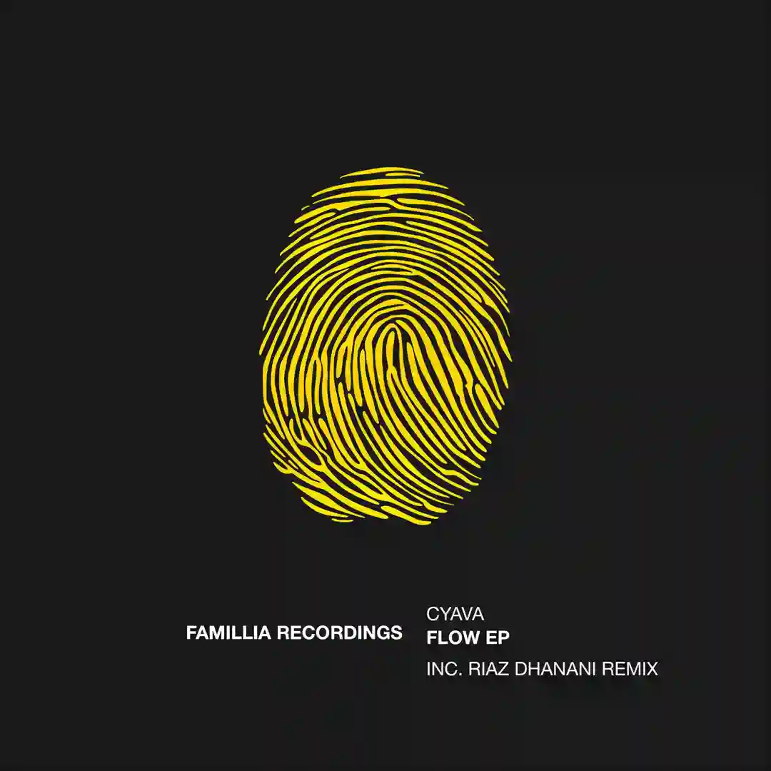 Flow (Riaz Dhanani Remix) cover