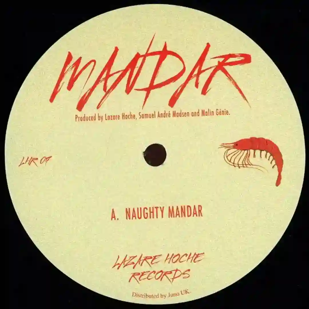 Naughty Mandar cover