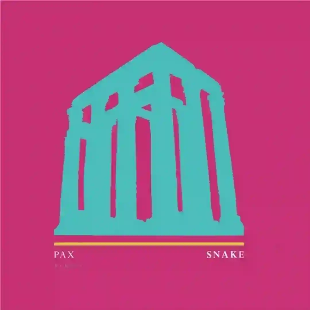 Snake (Original Mix) cover