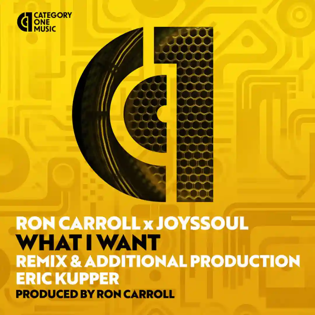 What I Want (Eric Kupper Remix Dub) cover