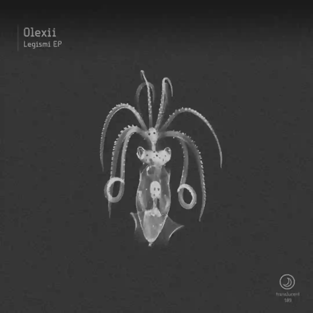 Mogri Siliano (Original Mix) cover