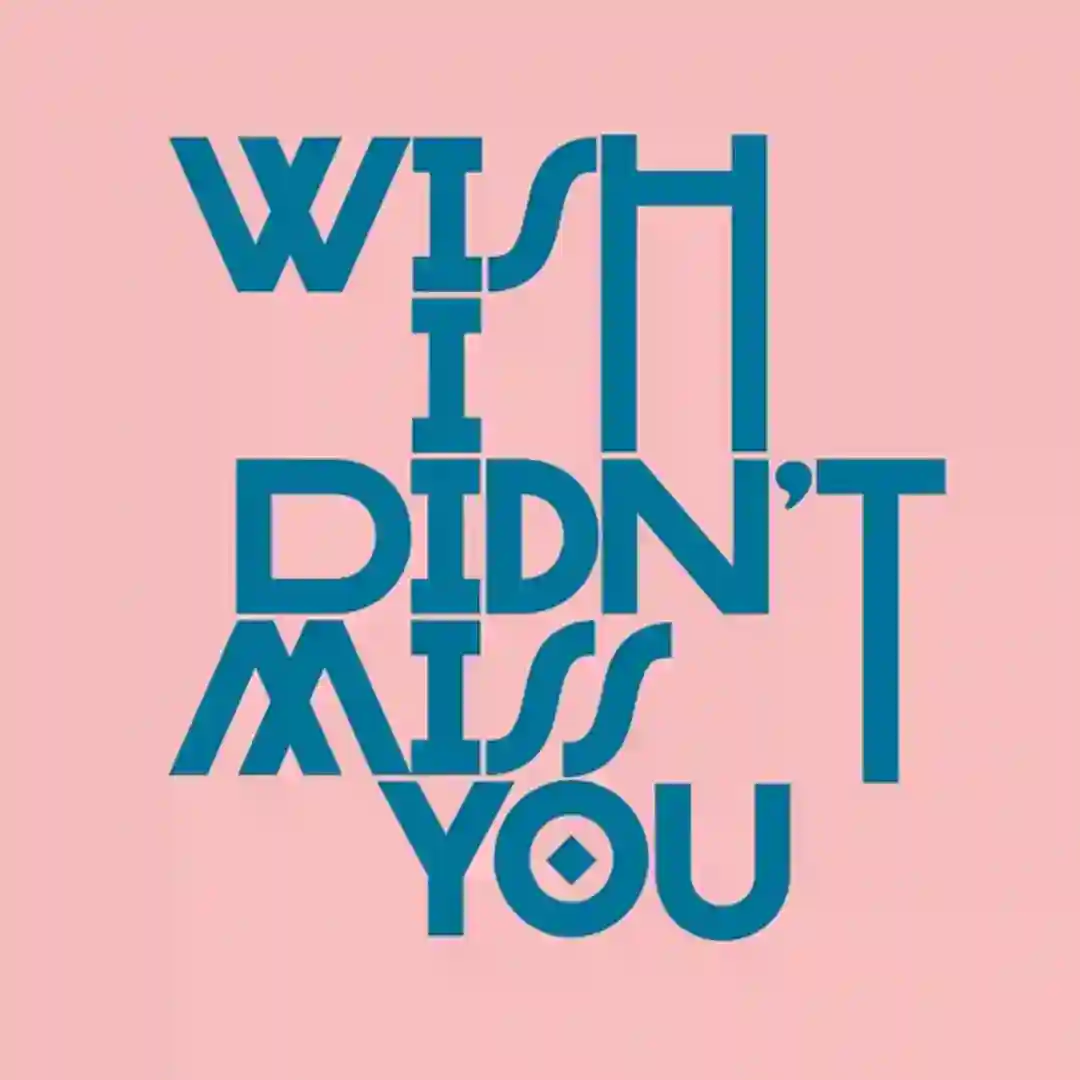 Wish I Didn't Miss You (Extended Mix) cover