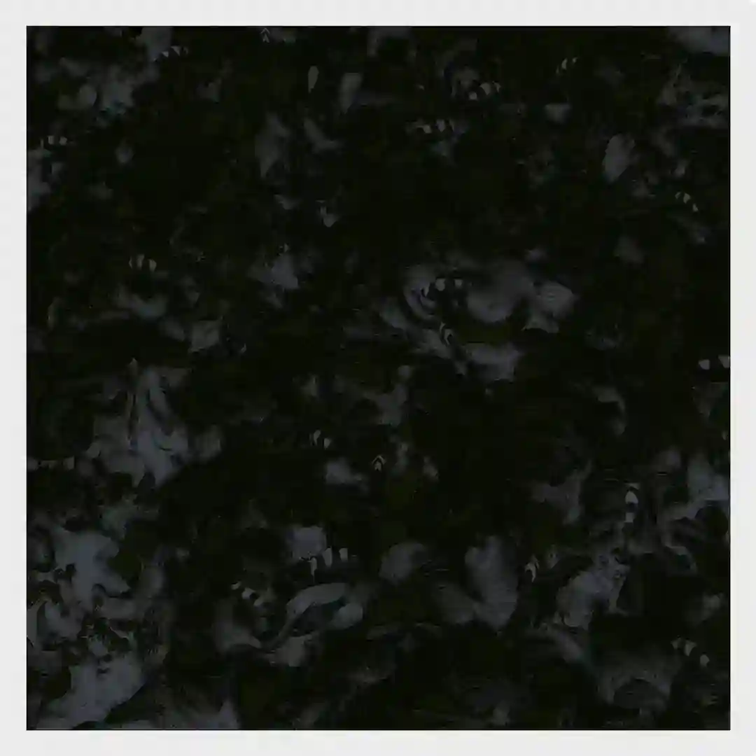 Quarterpast cover