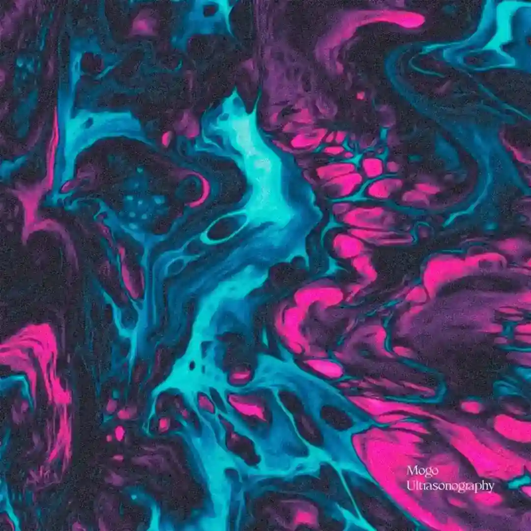 Eco 2 cover