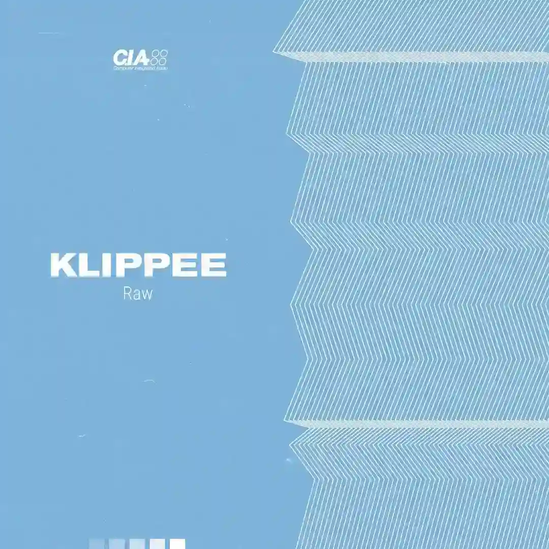 Raw (Original Mix) cover