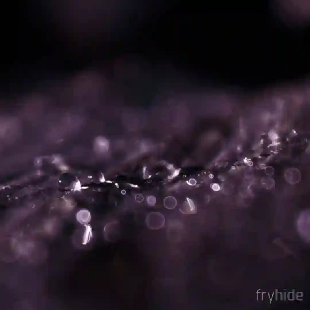 Obsidian Wire (Original Mix) cover