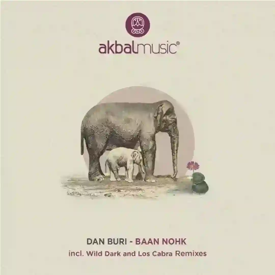 Baan Nohk (Wild Dark Remix) cover