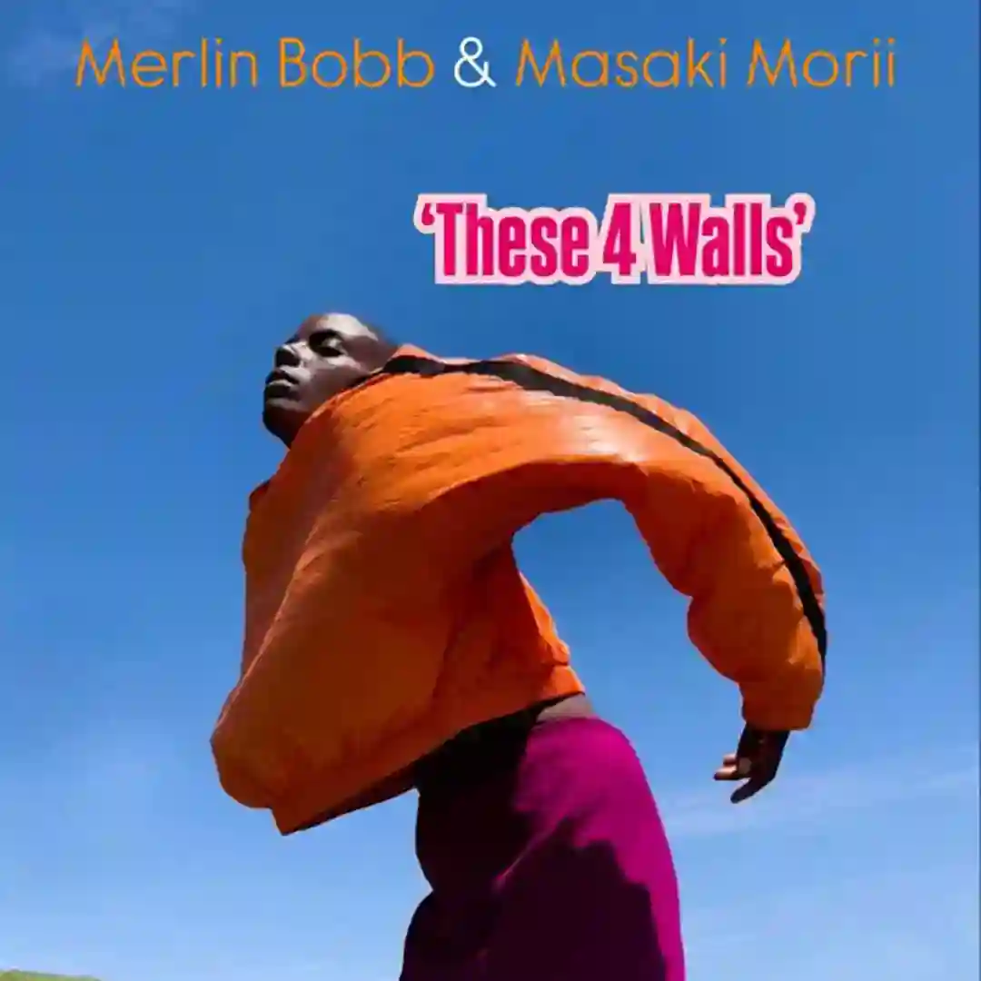 THESE 4 WALLS (INST MAIN MIX) cover