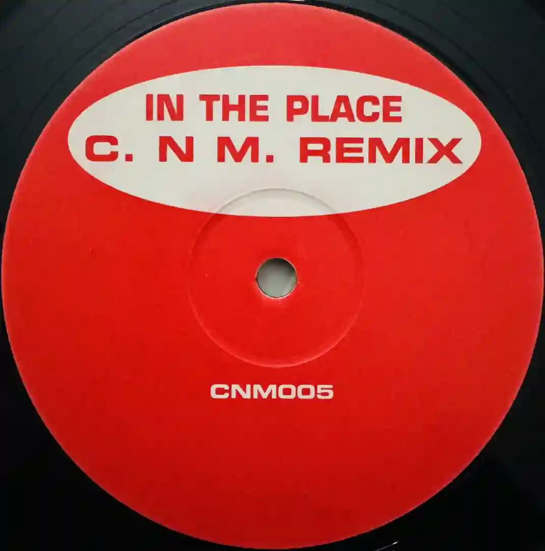 In The Place cover