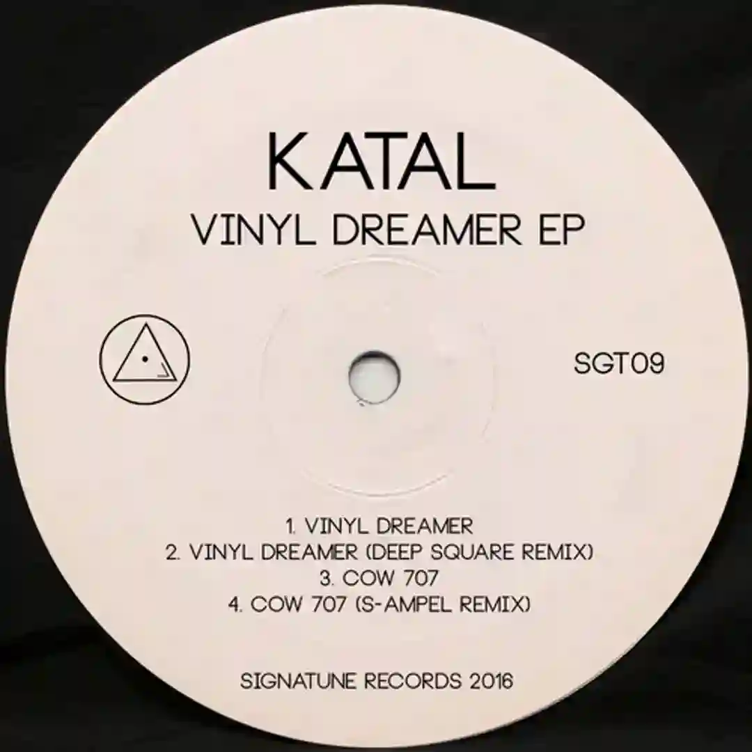 Vinyl Dreamer (Original Mix) cover
