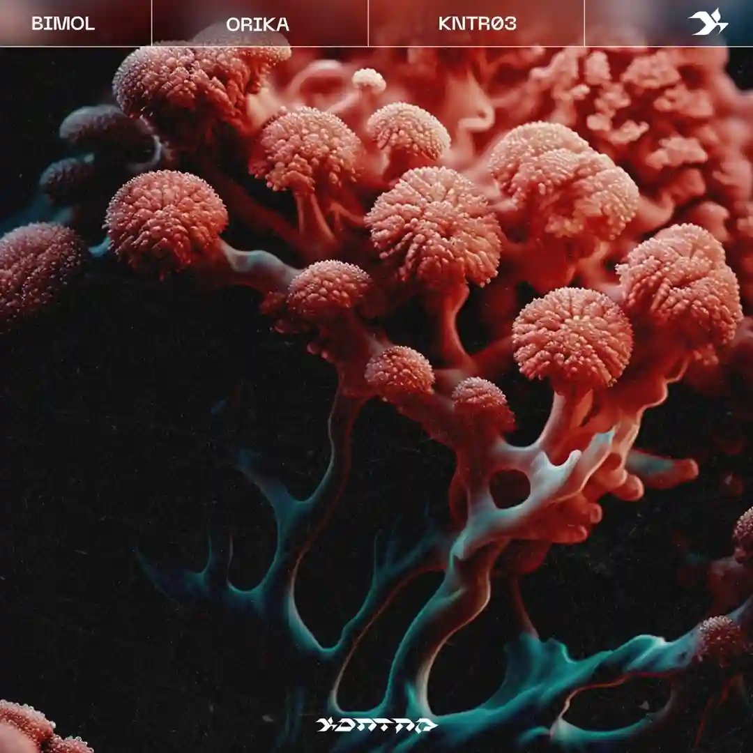 Pintas (Original Mix) cover
