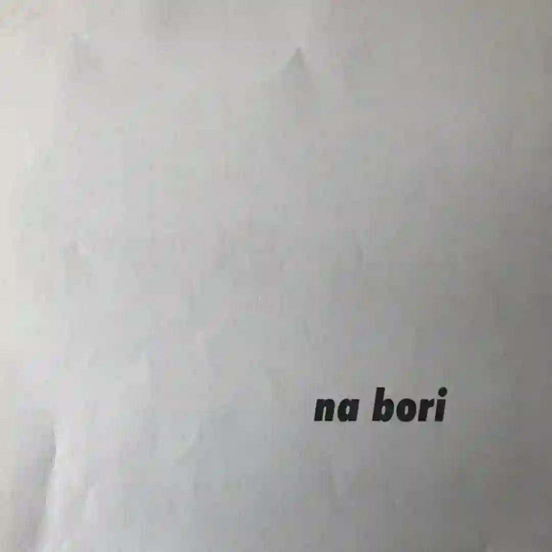 Na Bori cover
