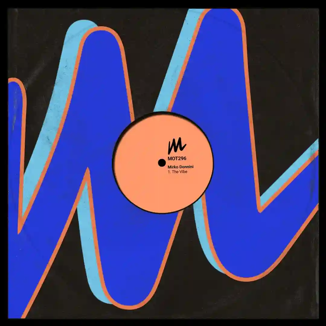 The Vibe (Extended Mix) cover