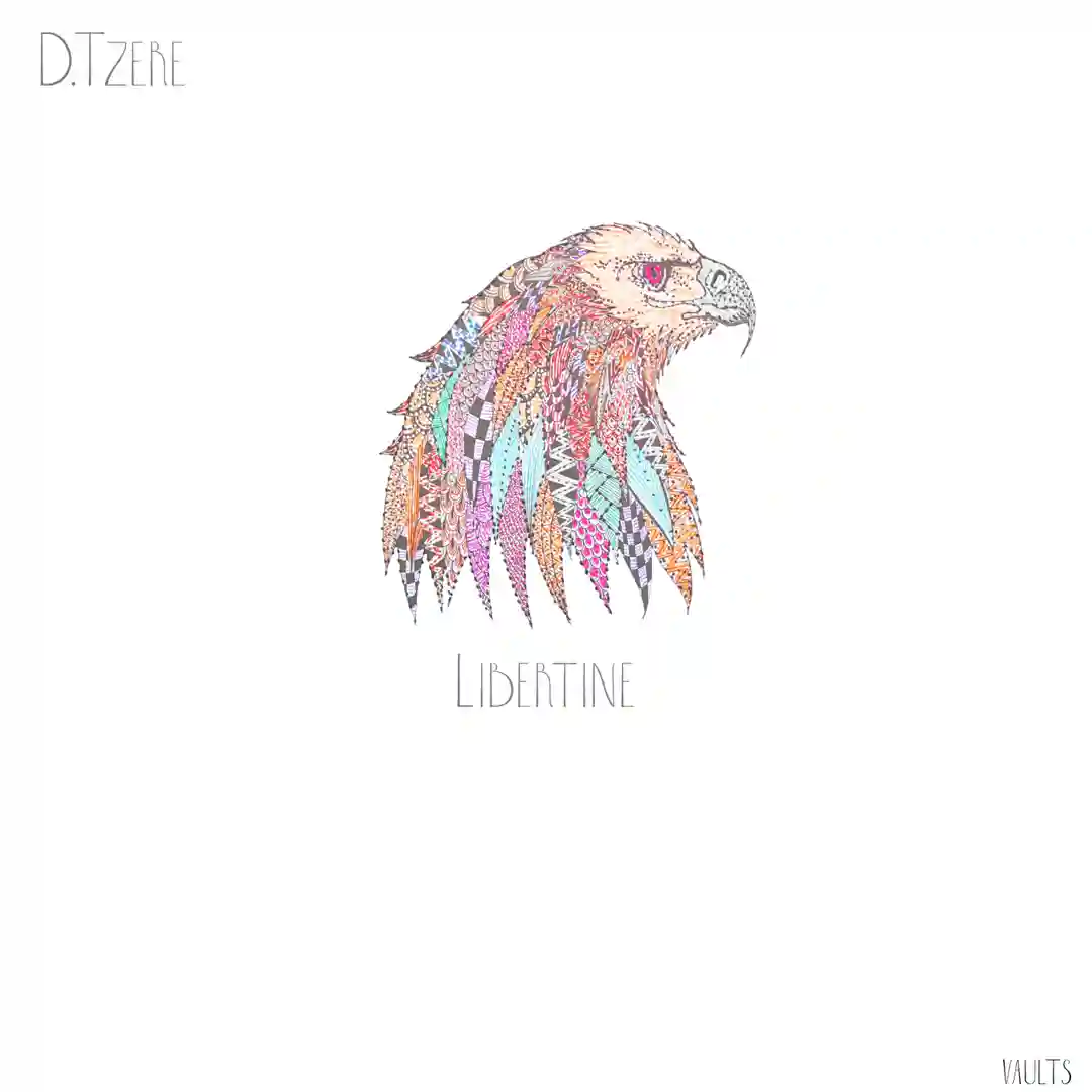 Libertine (Original Mix) cover