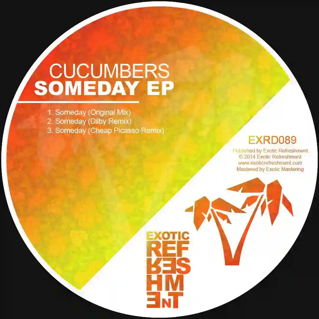 Someday (Dilby Remix) cover