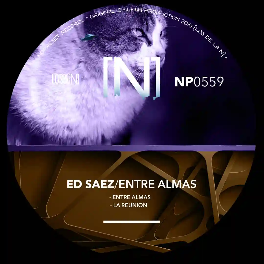 Entre Almas (Original Mix) cover
