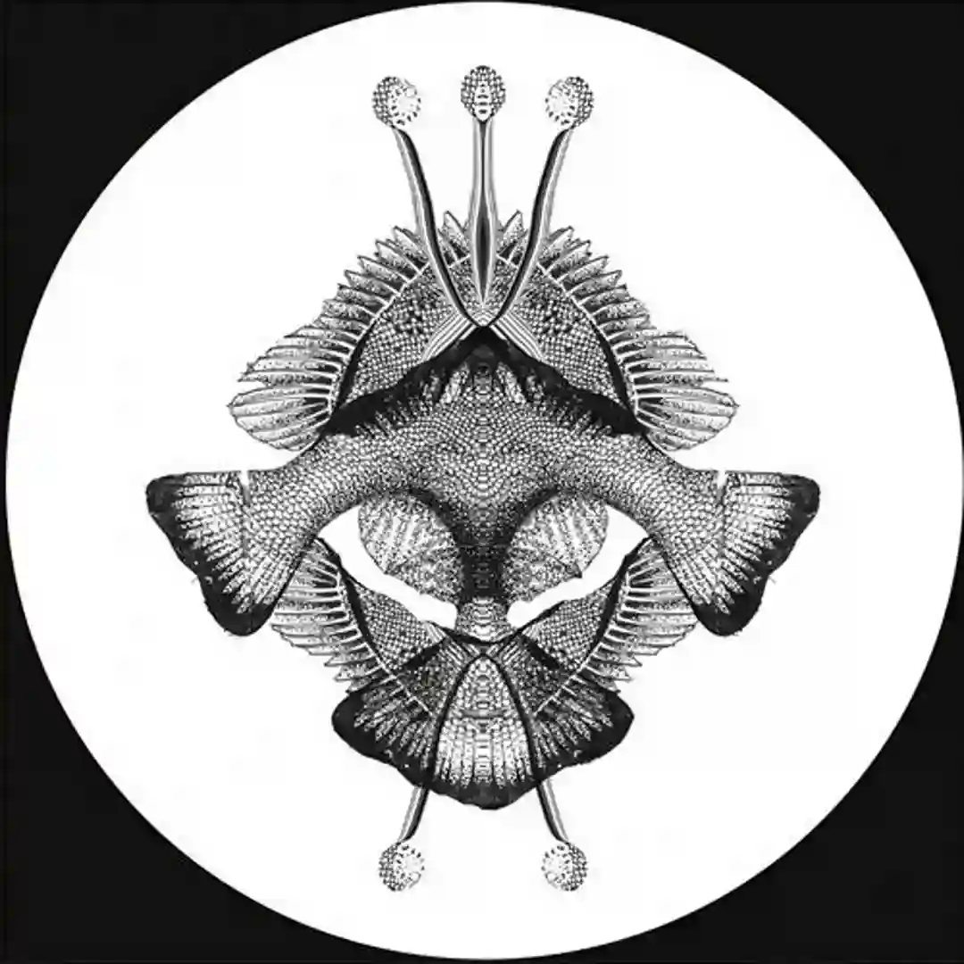 Konduktor (Original Mix) cover