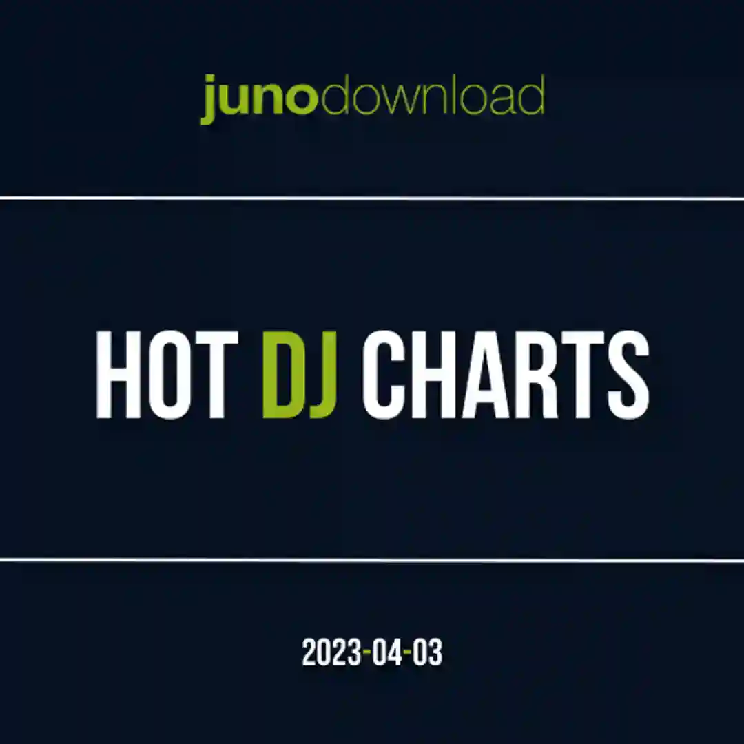 Slowdown (Original Mix) cover