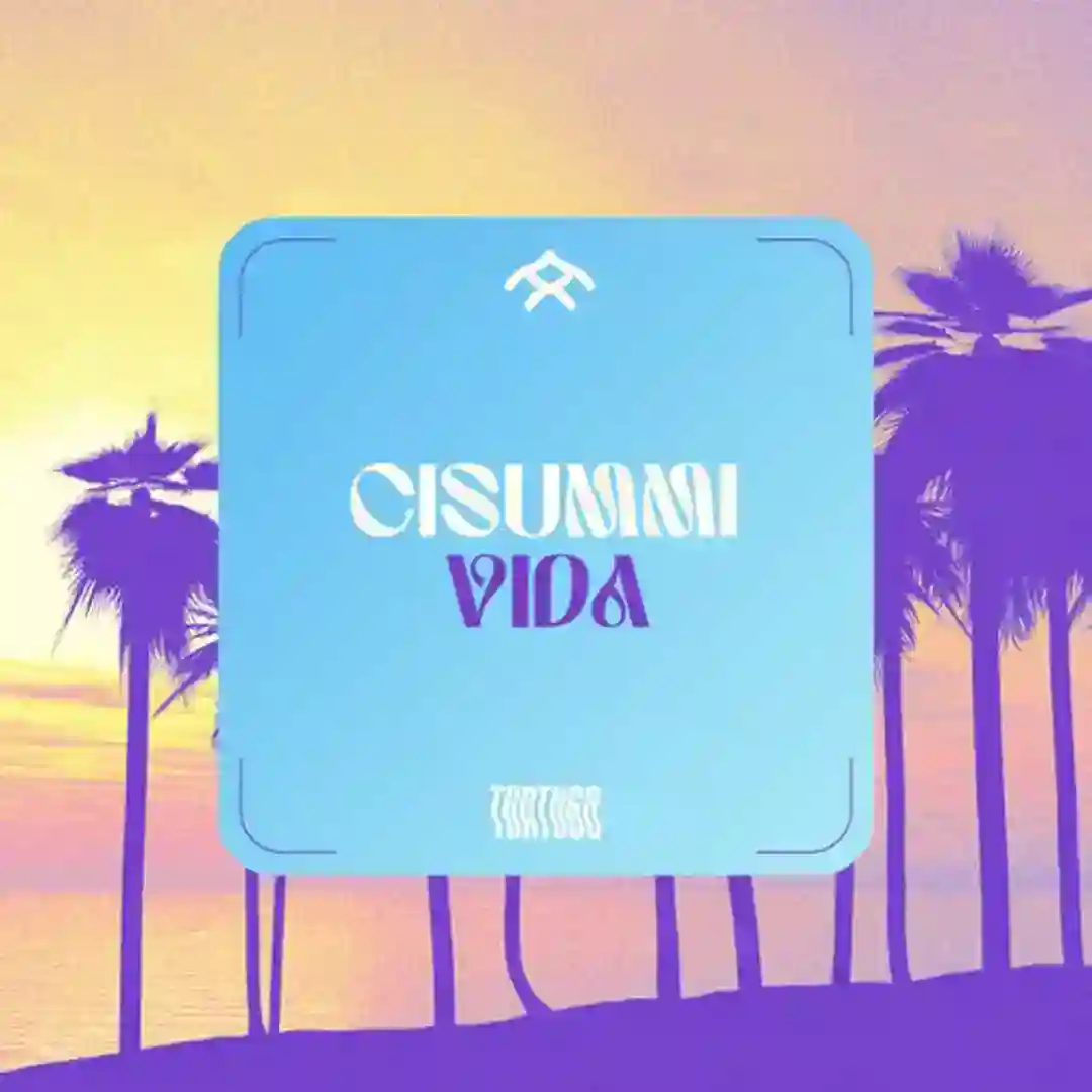 VIDA (Original Mix) cover