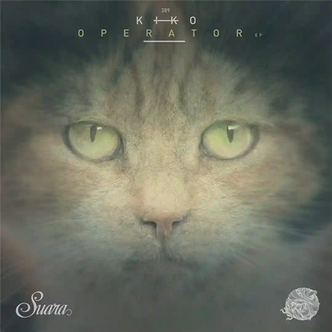 Phreax (Original Mix) cover