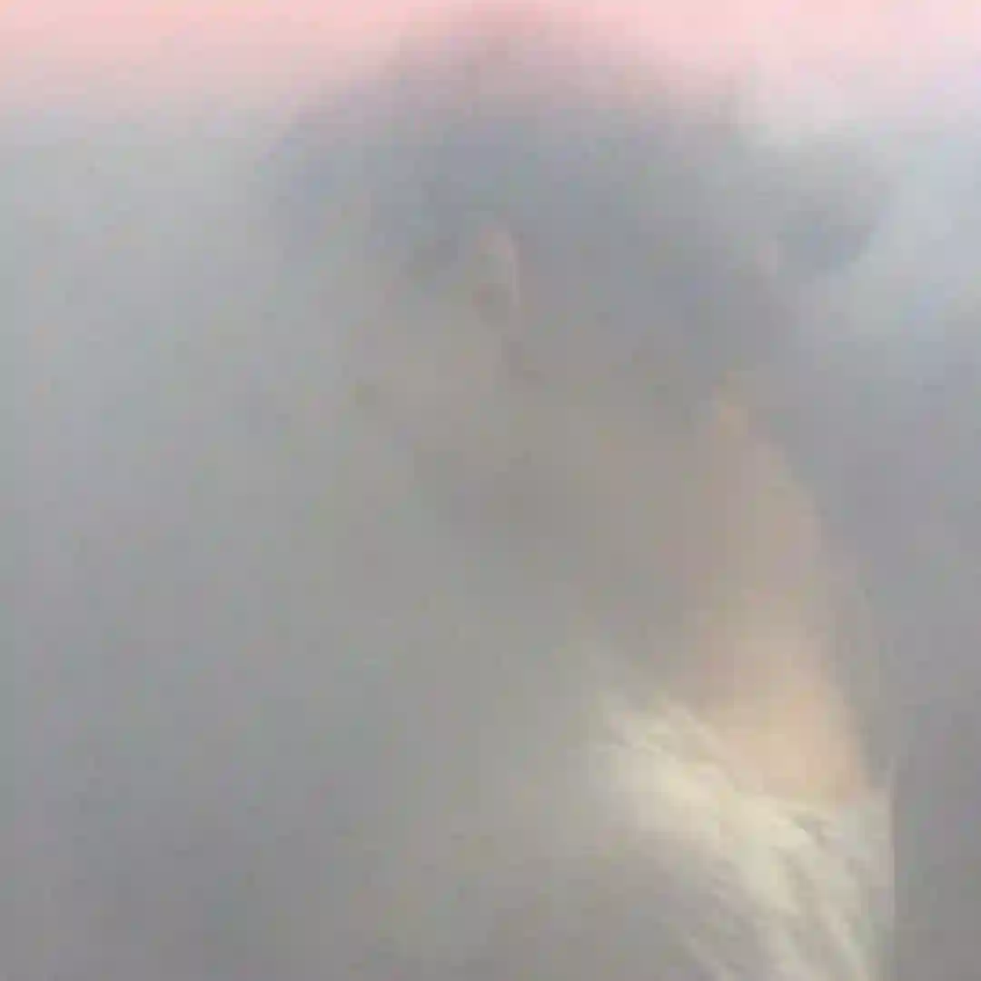When It Fades (we fade) cover