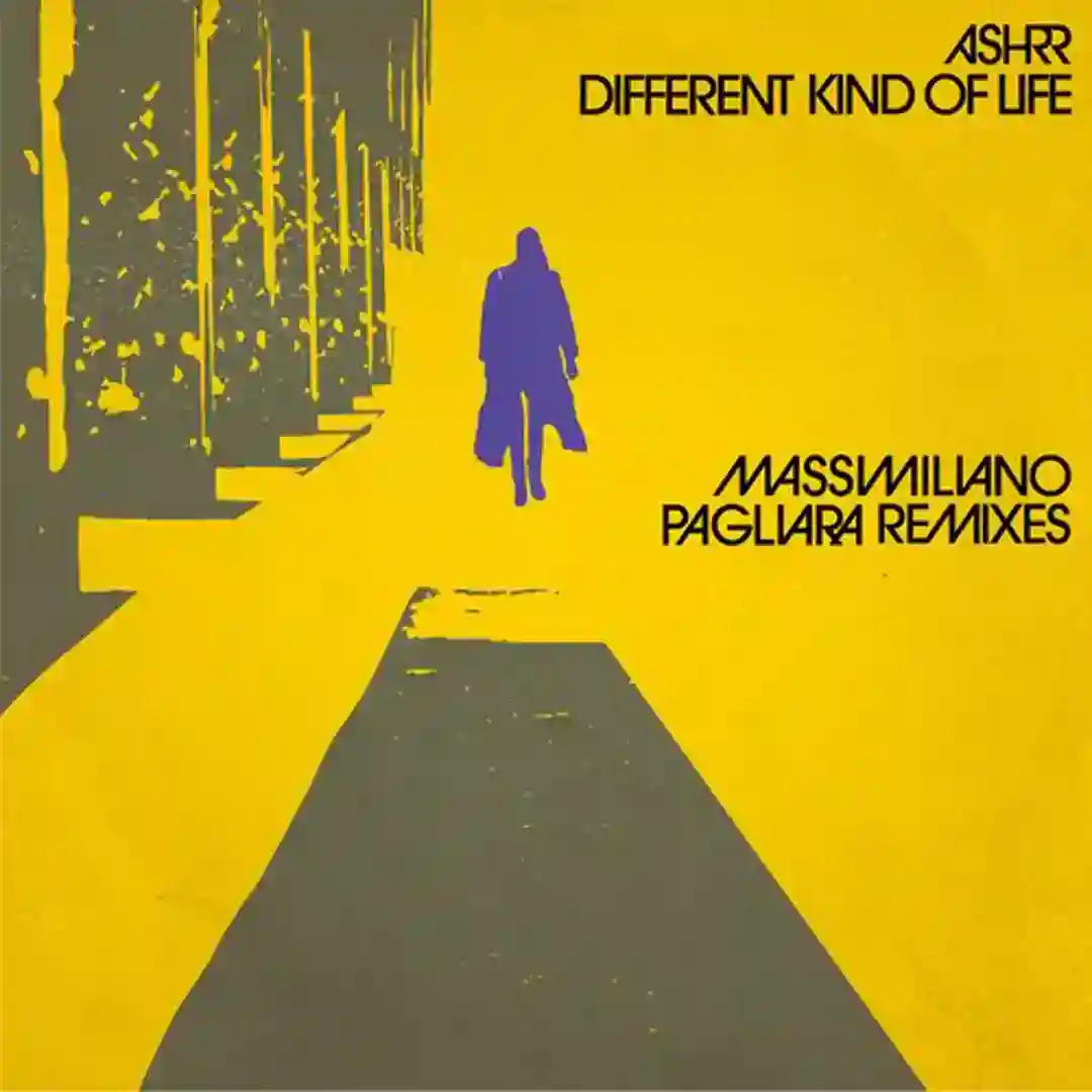 Different Kind Of Life (Massimiliano Pagliara Dub) cover