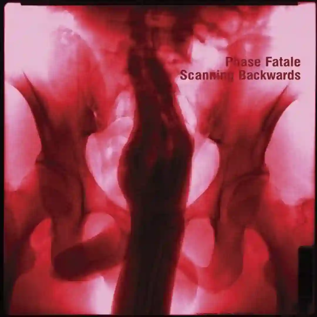 During The Freezing Process (Original Mix) cover