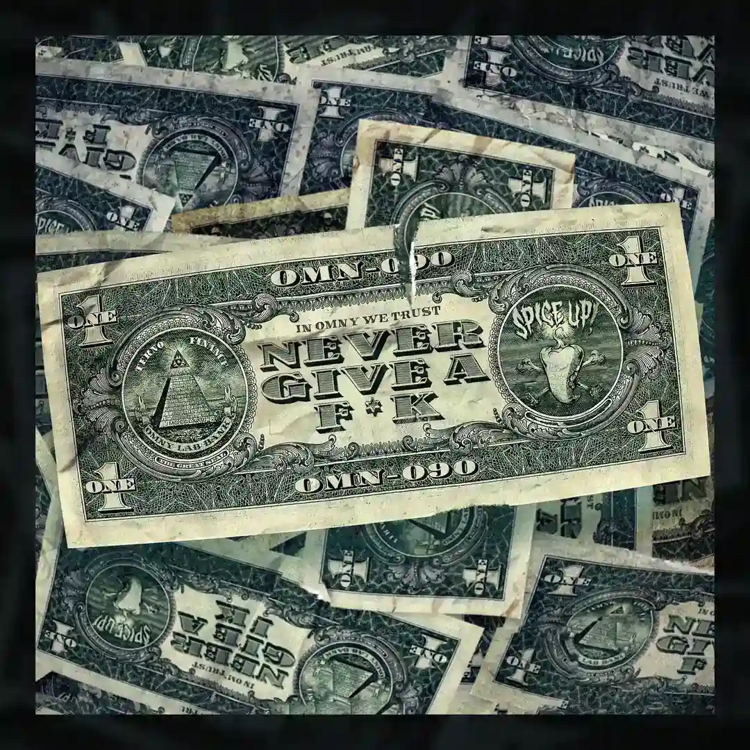 Never Give A Fuck (Extented Mix) cover