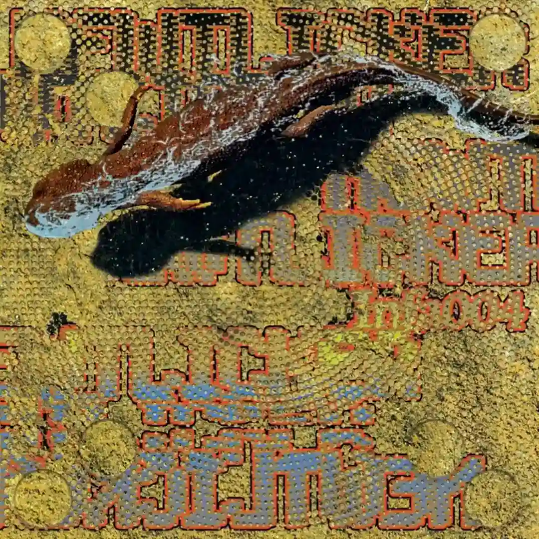 Newt Licker cover
