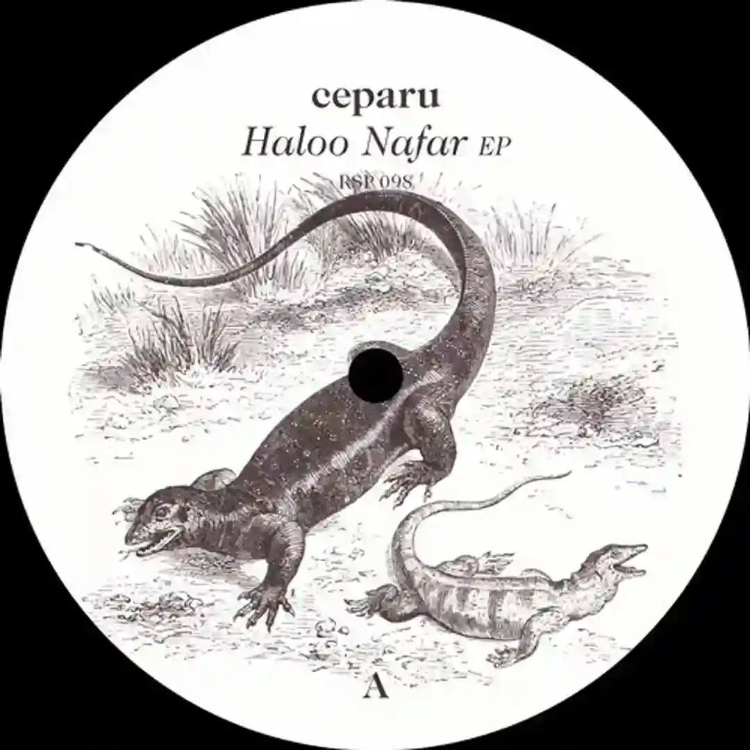 Haloo Nafar EP cover