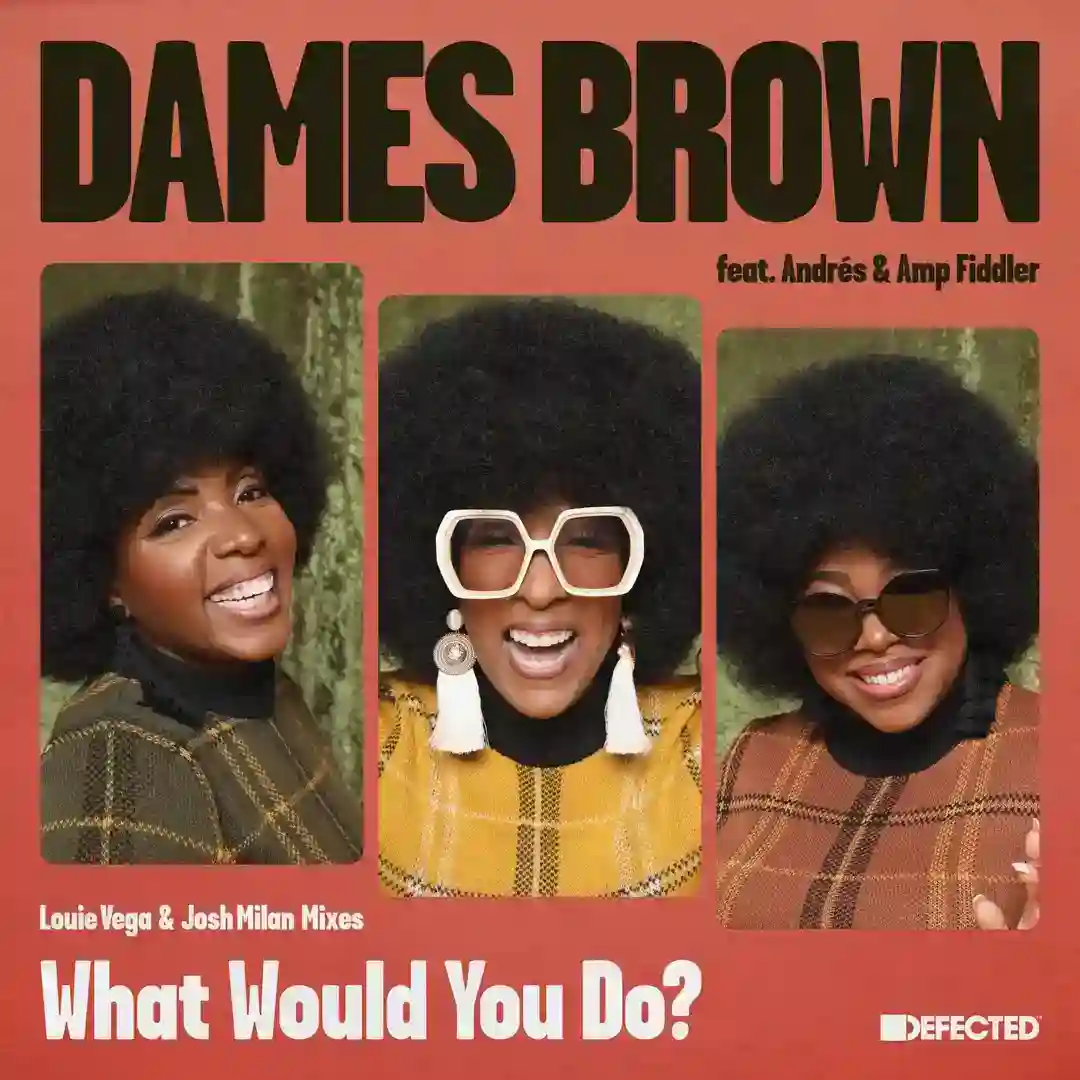 What Would You Do? feat. Andrés, Amp Fiddler (Expansions NYC Extended Dub Vocal) cover